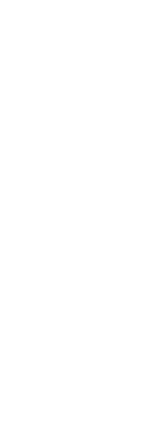 いろいろあって良いんです